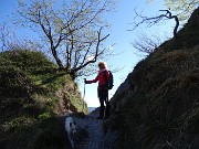 MONTE MAGNODENO e CRESTE DELLA GIUMENTA ad anello da Erve il 25 aprile 2016 - FOTOGALLERY